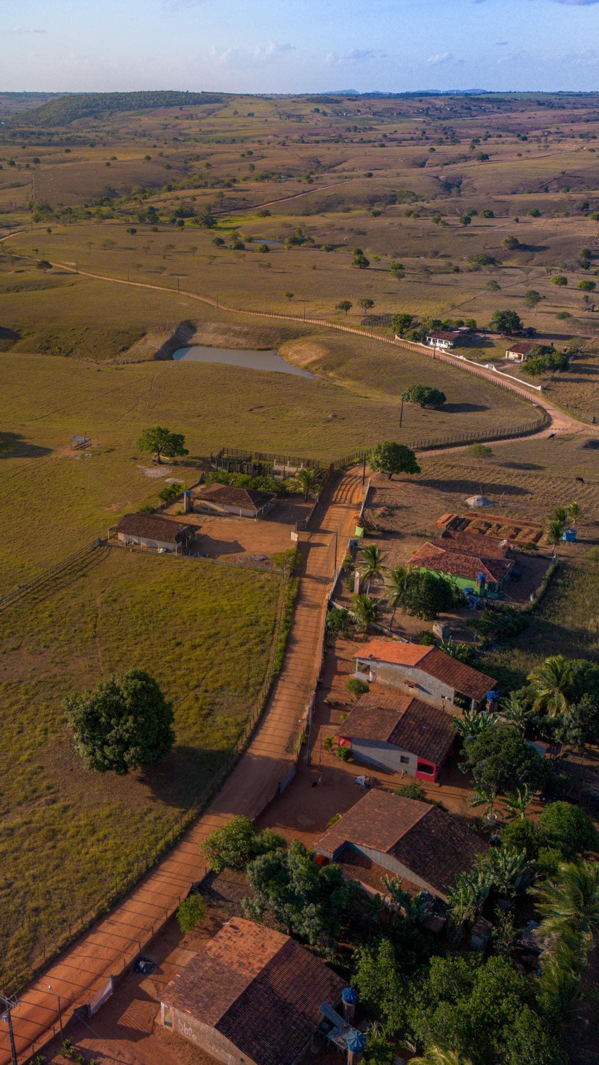 Vista aérea de comunidade rural em Alagoas, Brasil — casas modestas ao longo de uma estrada de terra no sertão nordestino