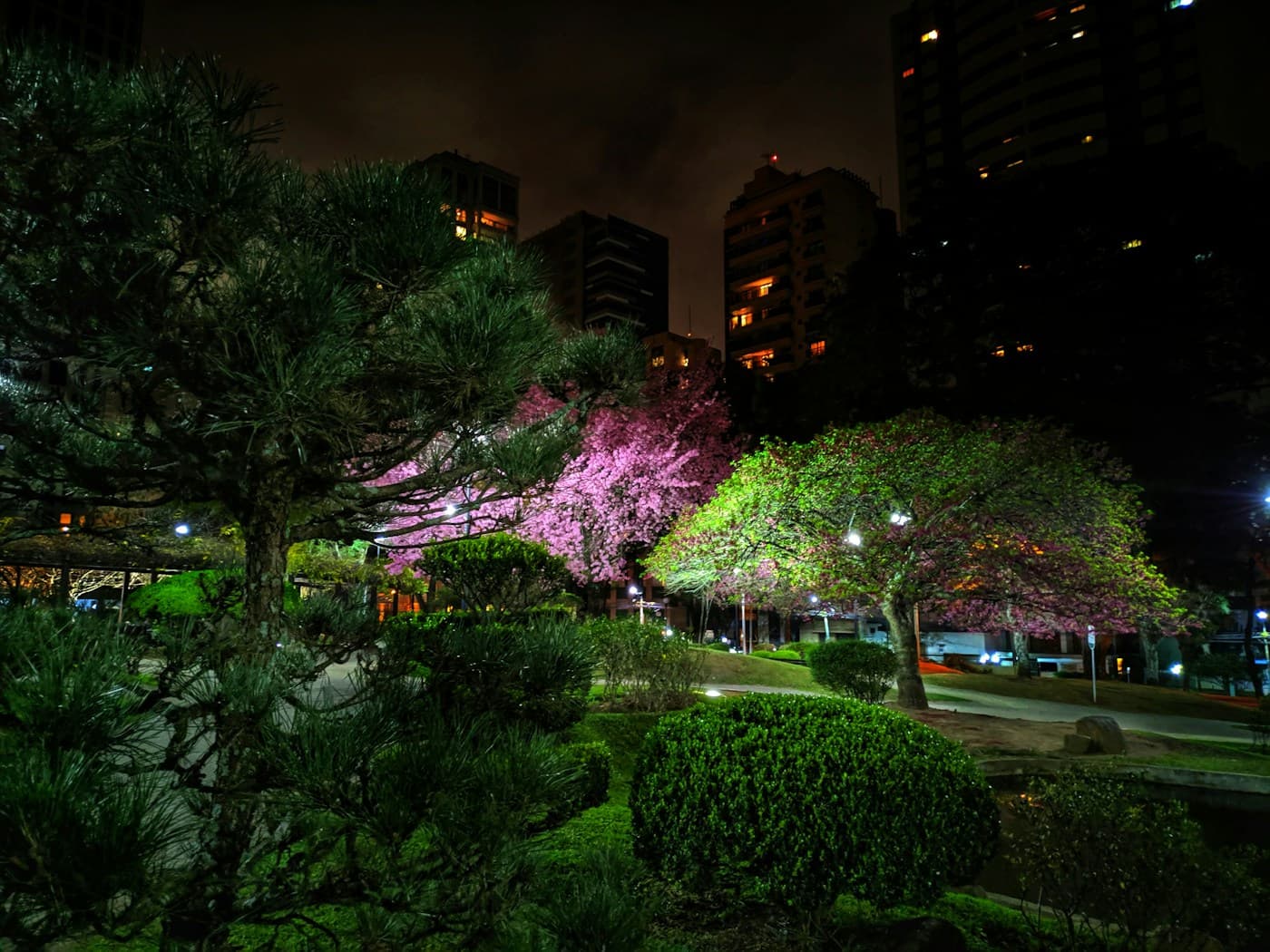 Vista aérea de Curitiba à noite com luzes da cidade e vegetação